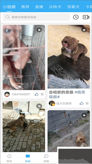 猛犬俱乐部