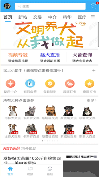 猛犬俱乐部
