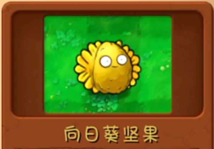 img_68d2071e7d4c433.png