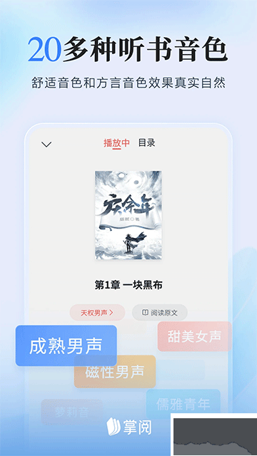 掌阅小说