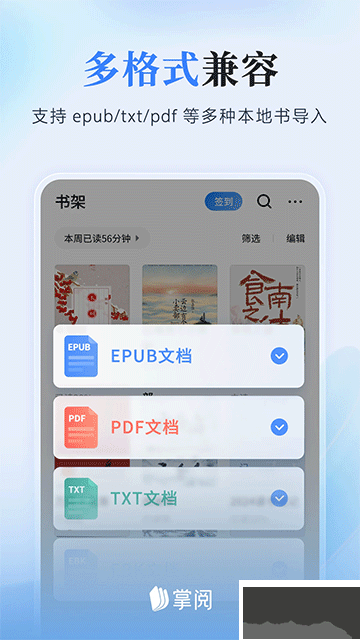掌阅小说