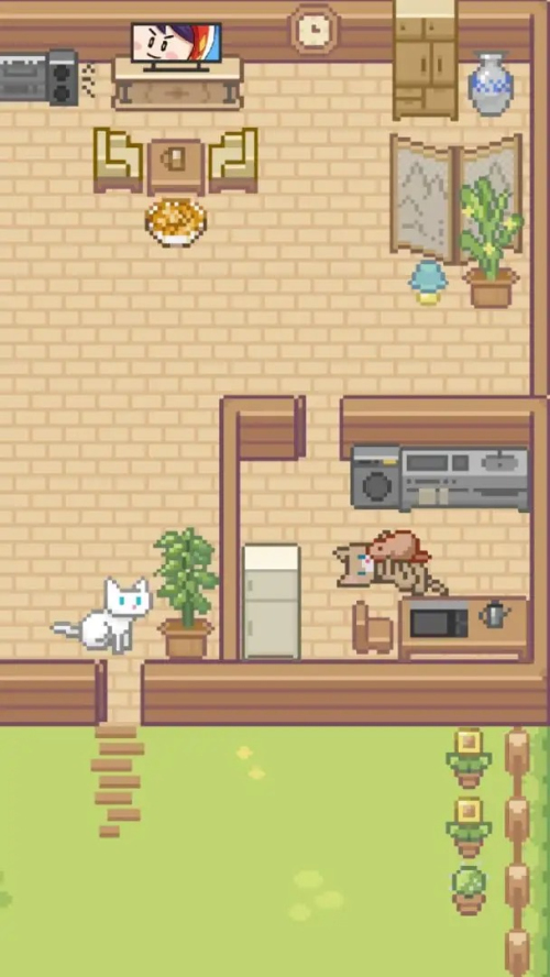 Miao屋