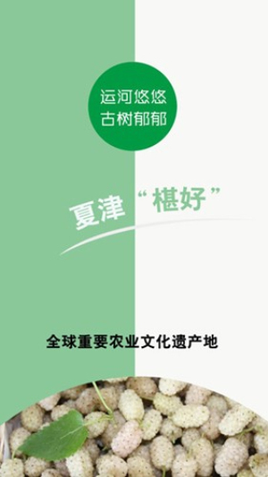 爱夏津