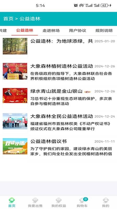 大象森林