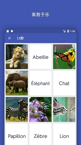 quizlet英语