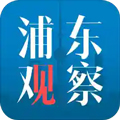 浦东观察