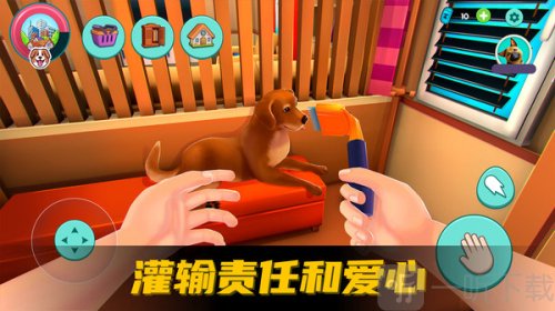 超级宠物之友
