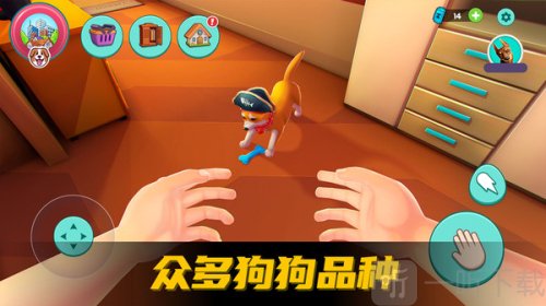 超级宠物之友