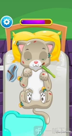 救治猫咪