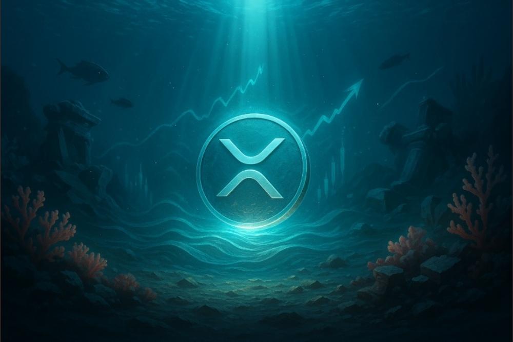 这就是为什么每个代币持有者都将XRP视为威胁