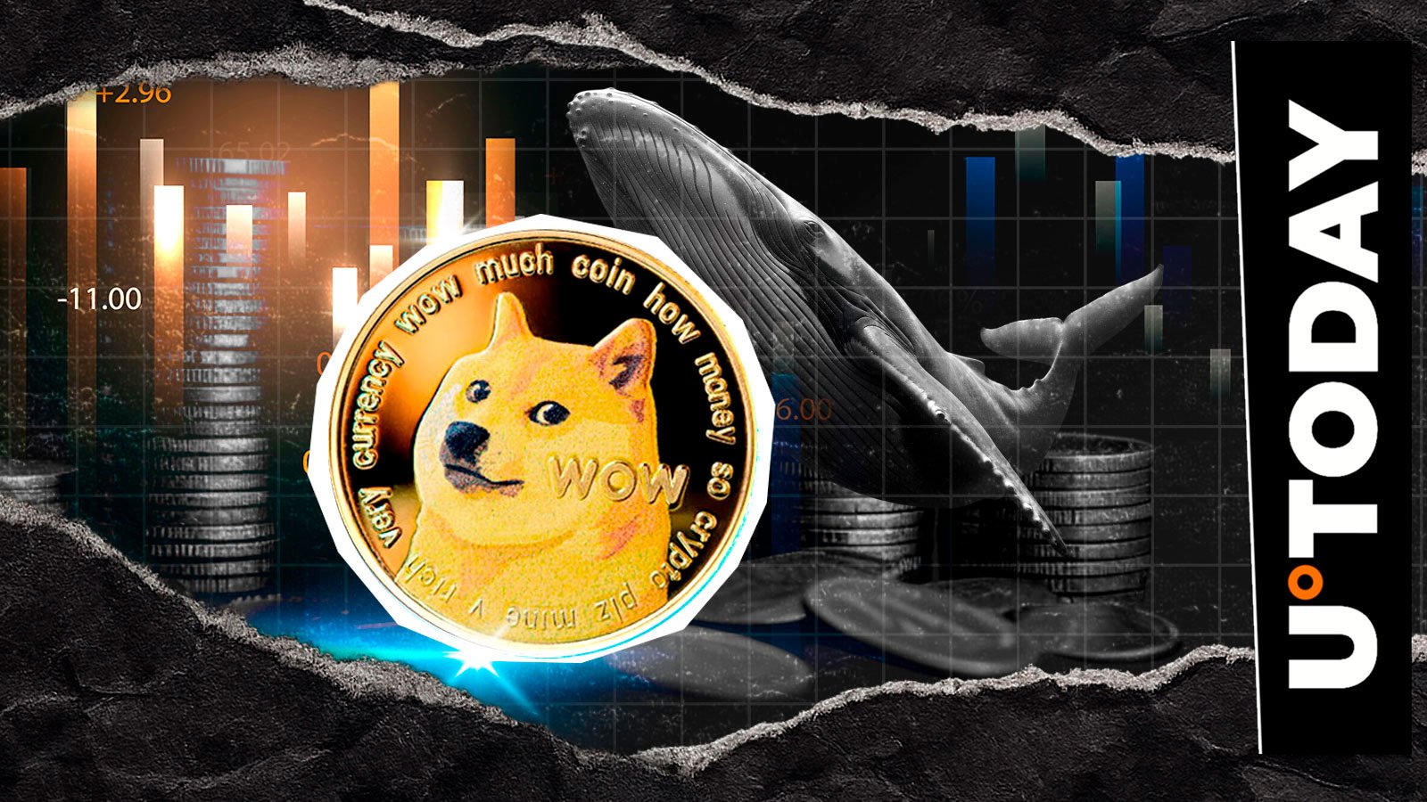 巨额狗狗币（DOGE）空单：这头鲸鱼是否知道些什么？