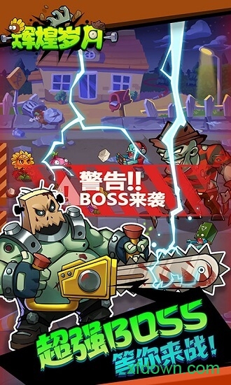 辉煌岁月