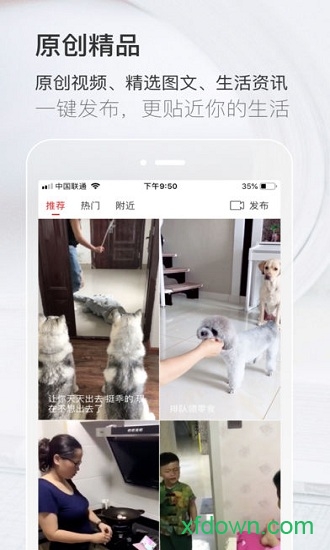 考拉资讯app