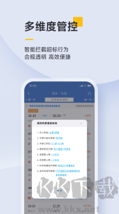 泛嘉行