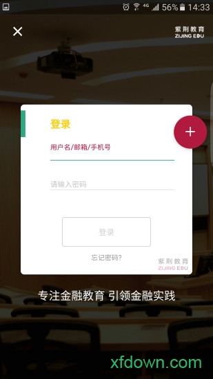 紫荆教育