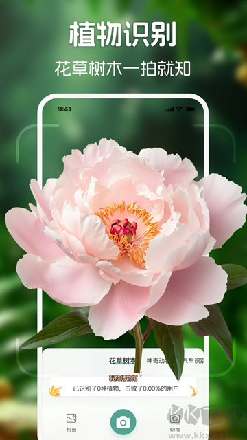 识花君