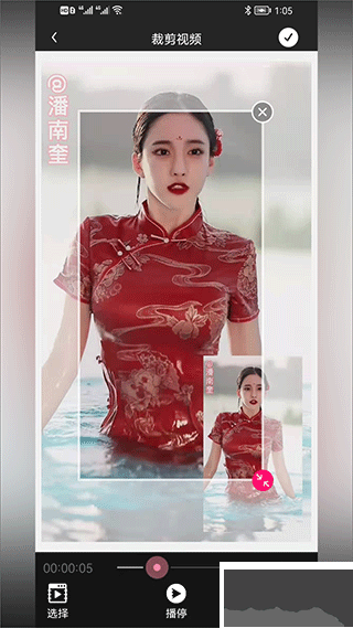 小道木鱼