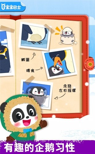 奇妙企鹅部落