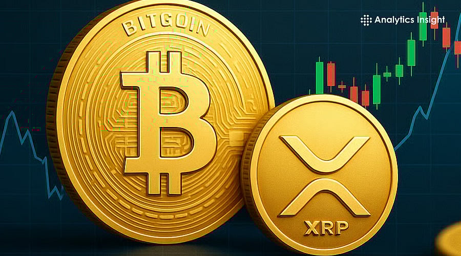 比特币和XRP的下一步是什么：一飞冲天还是走向毁灭？