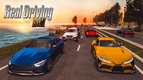 Real Driving Sim真实驾驶模拟器2025
