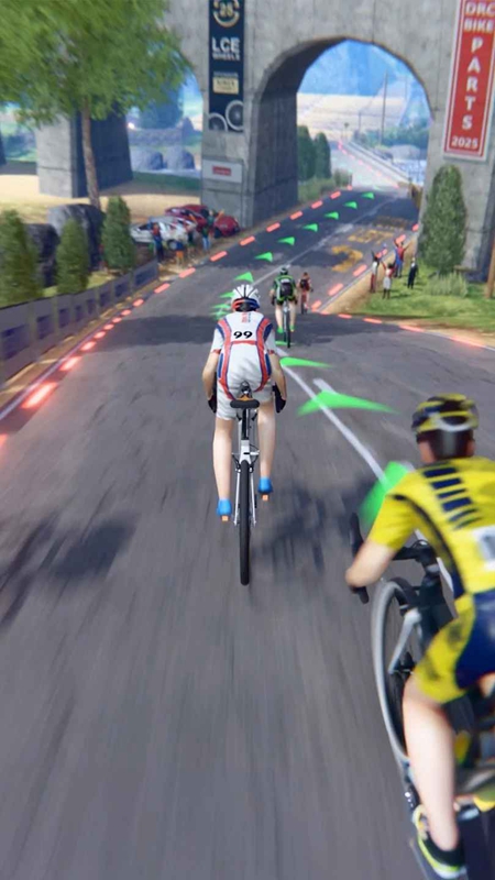 公路自行车巡回赛
