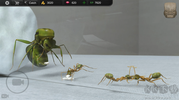 蚂蚁模拟大亨(Ant Sim Tycoon)