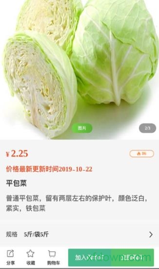 橘子采购app下载