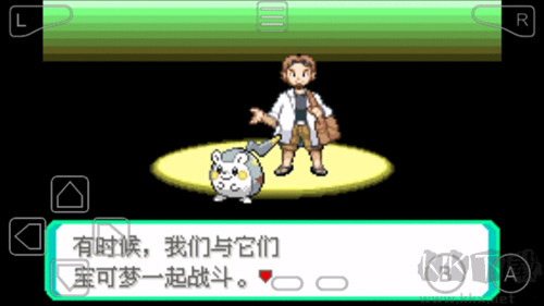 口袋妖怪究极绿宝石