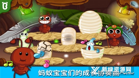 宝宝认蚂蚁昆虫世界