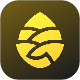 松果出行电单车