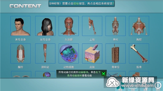 人体解剖学图集3d