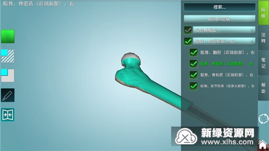 人体解剖学图集3d