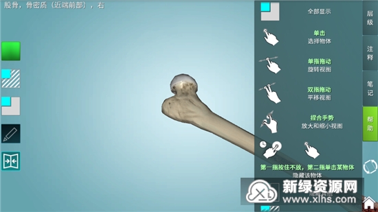 人体解剖学图集3d