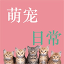 萌宠日常