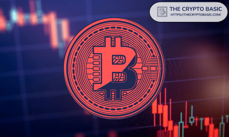 彭博策略师称比特币有望重回年度关键点位5万美元：原因如下