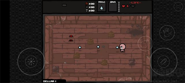 以撒的结合(Issac