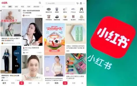网页版小红书直达入口-免APP直接畅览小红书