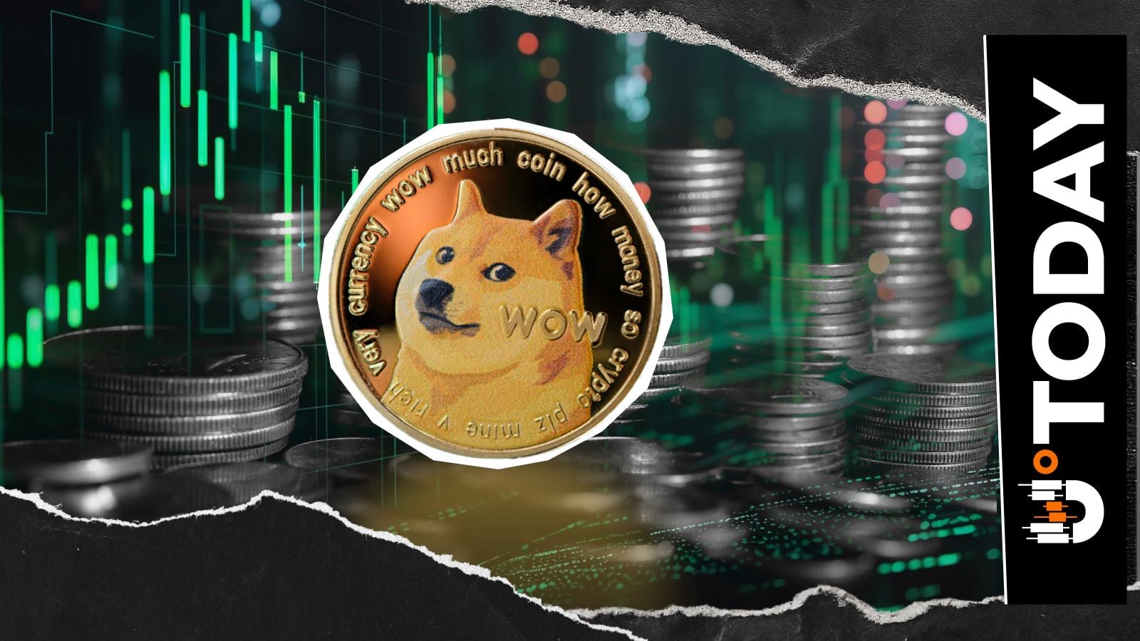 "DOGE的超级粉丝"：全球最高智商持有者意外透露
