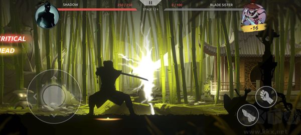 暗影格斗5(Shades)