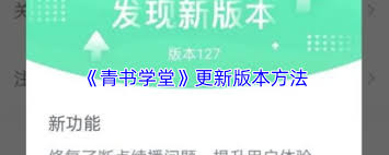 img_694fcc275ad4b31.jpg