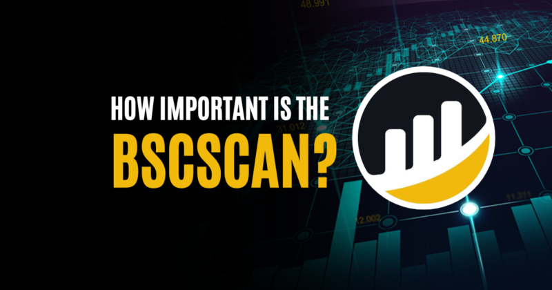 How-Important-is-the-BscScan-1-800x420.png