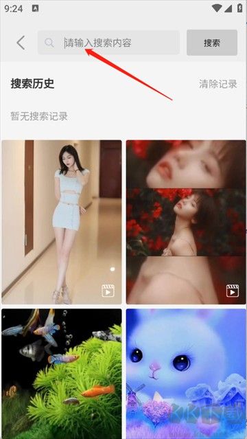 随心手机壁纸免费版