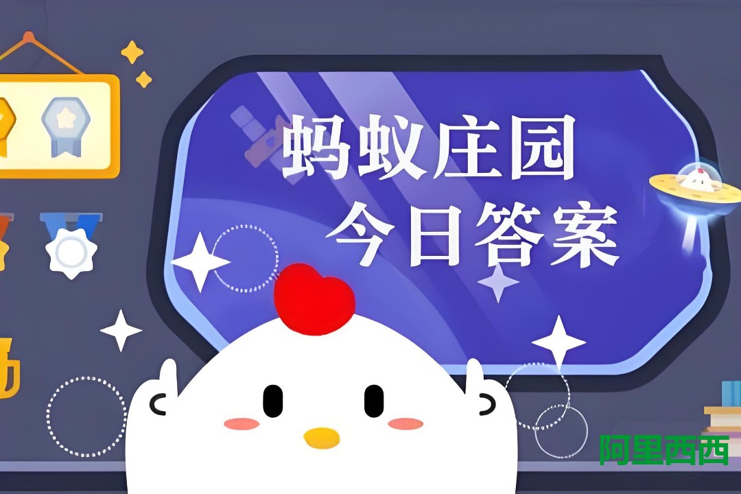 img_69654c79d46c130.jpg
