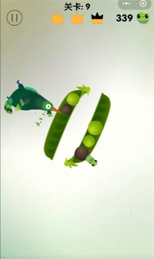 img_6968182af3da731.png