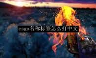 img_696862941839730.jpg