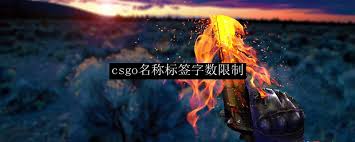 img_696862941839d31.jpg