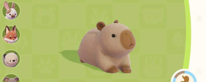 《心动小镇》水豚位置及喜爱食物分享