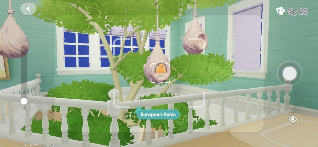 《心动小镇》观鸟玩法技巧分享