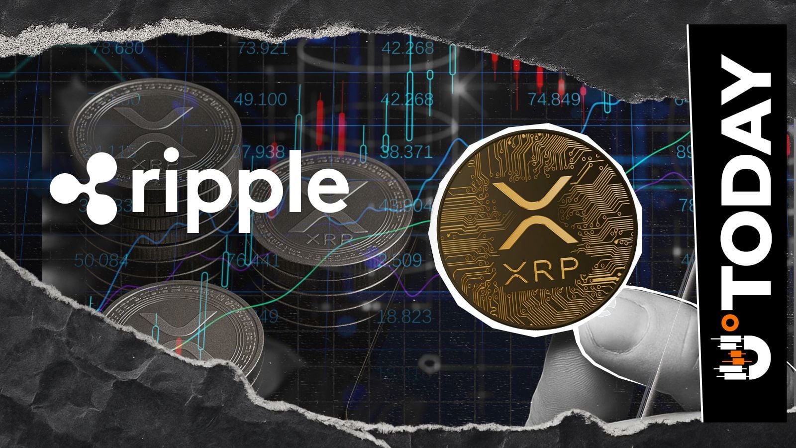 XRP将何去何从？Ripple领导者和社区将进行为期两天的直播