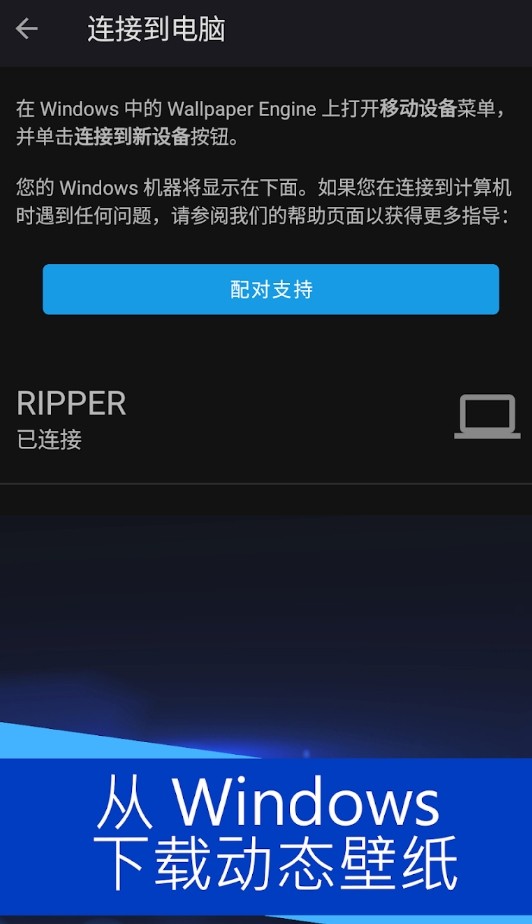 Wallpaper官网入口官方查看_Wallpaper下载官网及桌面壁纸高清获取